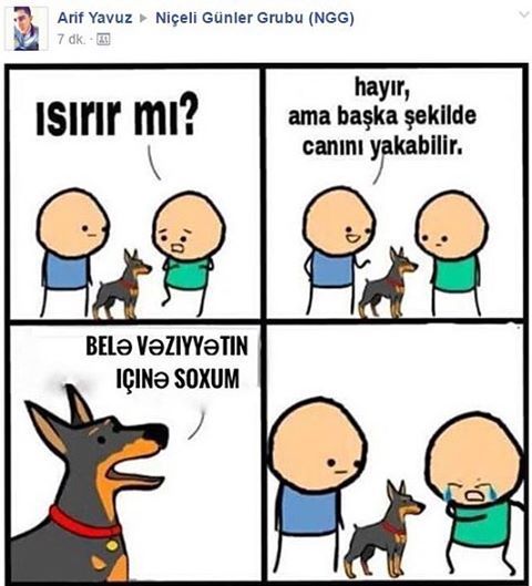 Arif YavuzNiçeli Günler...