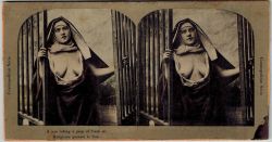 oldalbum:  photogravure stereo card (1900s)