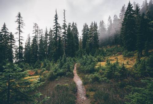 North Cascades, Washington State