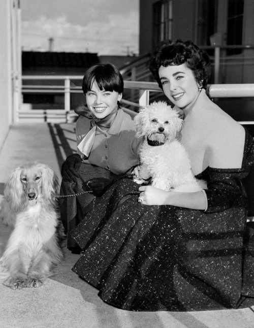 Elizabeth Taylor and Leslie Caron are photographed on the MGM lot taking their dogs for a walk.  Eli