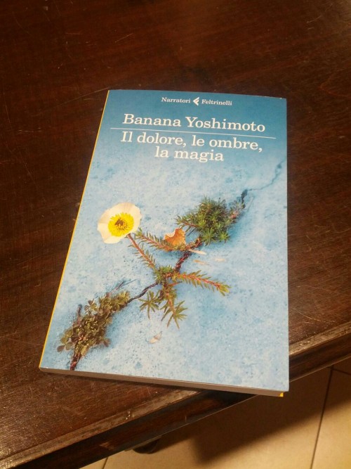 Ho trovato qualcosa da leggere. Avevo dimenticato che Andromeda Heights avesse un sequel, anzi non sapevo proprio che facesse parte di una quadrilogia. Bentornata a casa, Banana Yoshimoto.