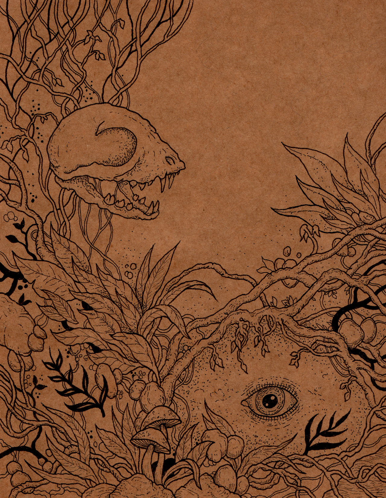 thestrangeforest:Unknown