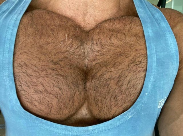 livelovelustlibra:meatbodies:Chest GOALS.