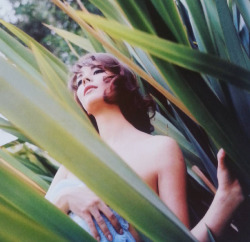 woodnnatalie:  Natalie Wood photographed by Peter Basch in her garden, 1964.