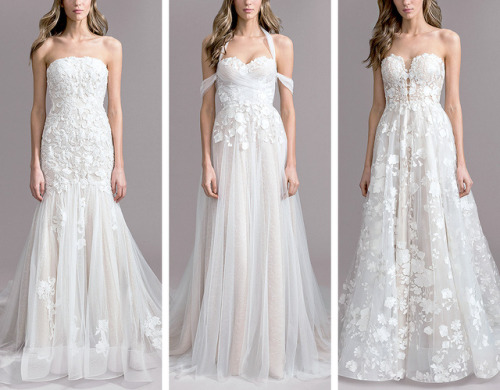 Ti Adora Fall 2019 Bridal Collection