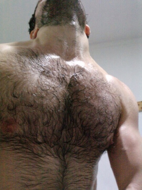 hairy torso