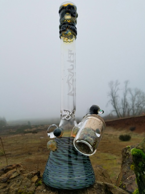 plainmaryjane: I live for foggy landscapes
