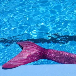 babegal-lee:my mermaid tail 😏😏😏