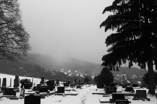 fire-above-ice-below:The graveyard in my small hometown, northwest Slovakia