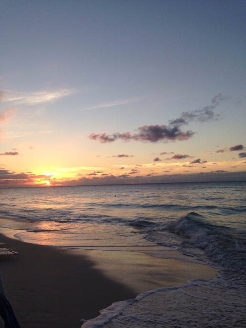 My Bahamaland