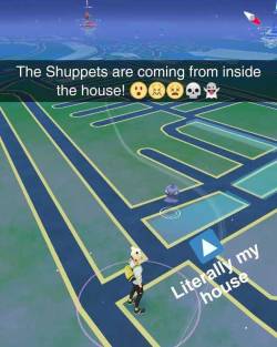 #pokemongo is a #cursedgame  End off! https://www.instagram.com/p/BnpYQHGglig/?utm_source=ig_tumblr_share&igshid=1ayseeyu8b523