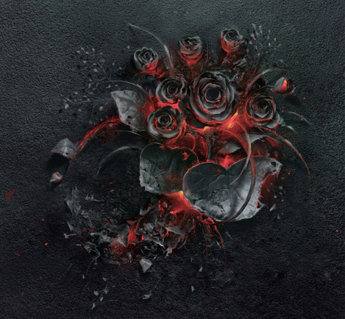 mymodernmet:  Photographer Captures the Poetic Beauty of a Smoldering Rose Bouquet