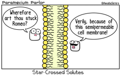 amoebasisters:    A little Shakespeare in the cell membrane…  