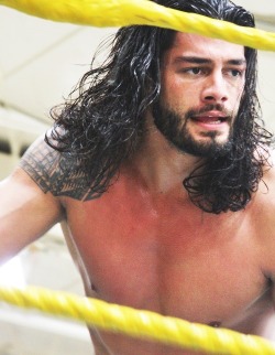 rwfan11:  Roman Reigns