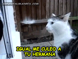 tu-sonrisa-me-vuelve-hueona.tumblr.com/post/60512052385/