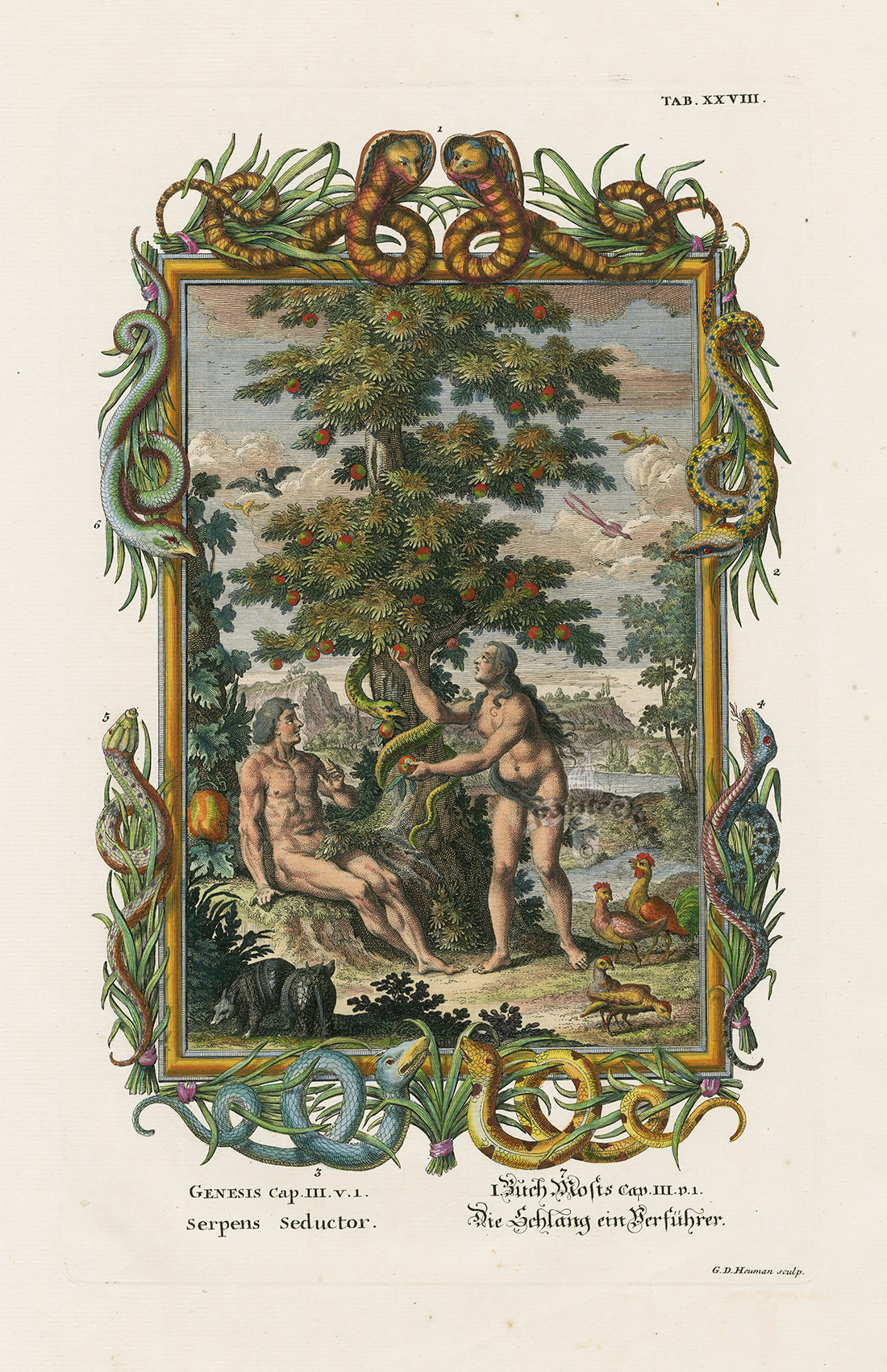 collectorsweekly:  “Physica Sacra,” a book of scientific evidence and theories