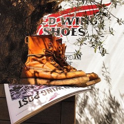 redwingshoestoreamsterdam:  Those are some sunny setters allright! I love a pair of 877 8” Irish Setter Moc-toes in Oro-Legacy, especially with the brand new Red Wing Post. http://ift.tt/1y7A4Cy 
