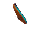 34e7f7408d1bbdc0da620f84f59a594084ae8fbd