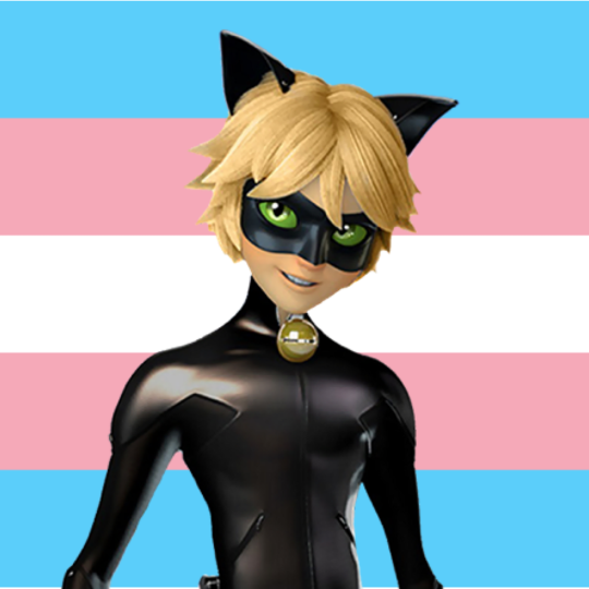 Miraculous Cat Noir - v1.0, Stable Diffusion LoRA