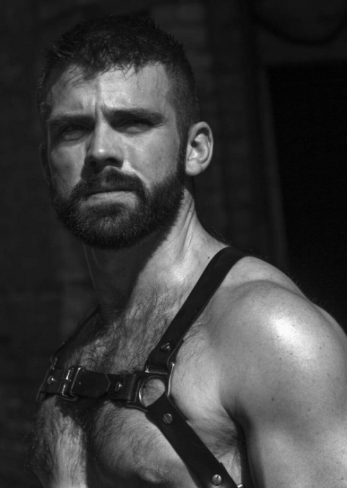 XXX Men In Harness photo