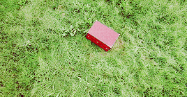 shesnake:  1/? favourite films: Oldboy (2003) dir. Park Chan-wook