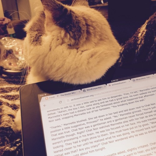 chocolatequeennk:Reading with Smokey@mostlycatsmostly