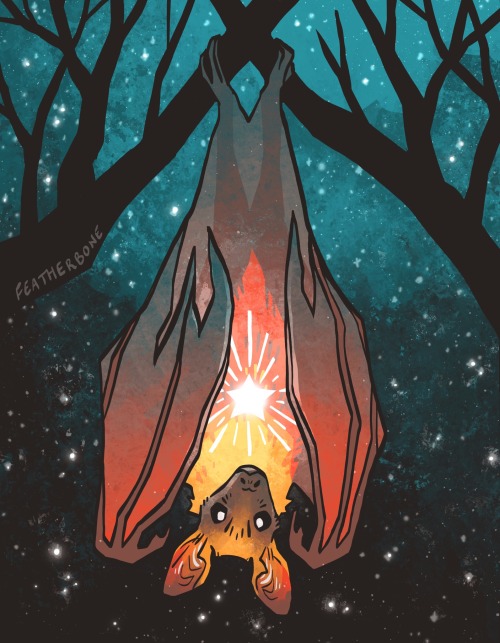 The Star