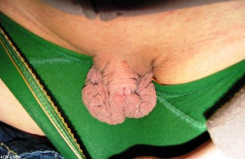 unusual-women-lover:  Women with cunt flaps like these need to know that there are men who find it attractive.