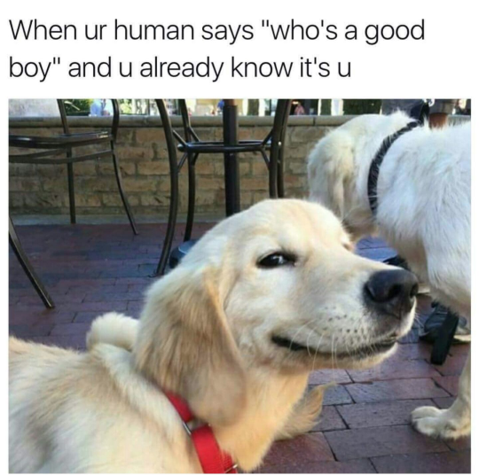 He he… Same for human pups as well!