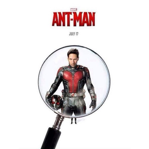 #AntMan #MCU #MarvelMovies #PaulRudd