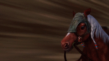 heroicallyawkward:  Hyrule Warriors (Twilight Princess) 