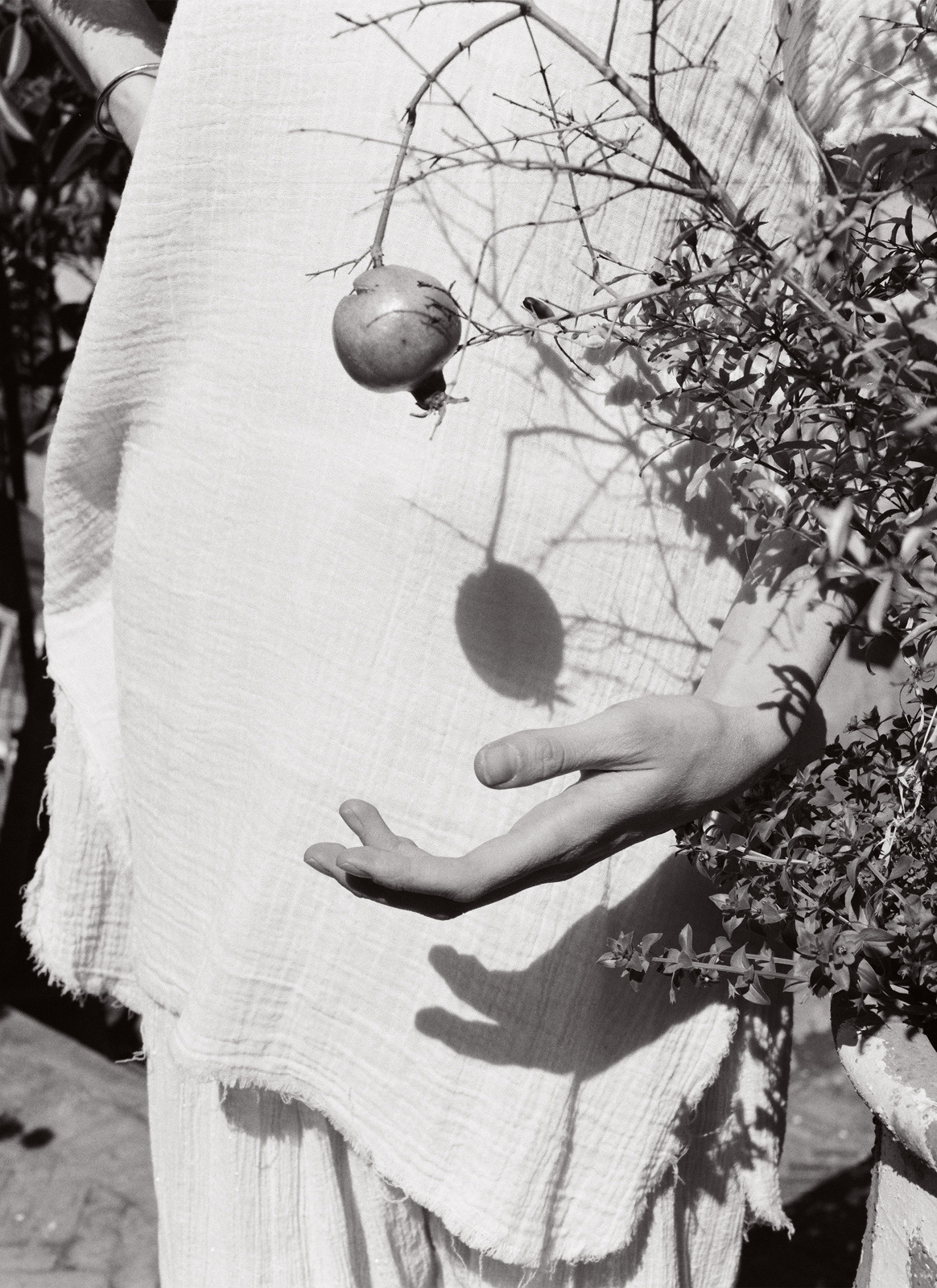 phasesmag:  Stella Berkofskyhttp://stellaberkofsky.com/