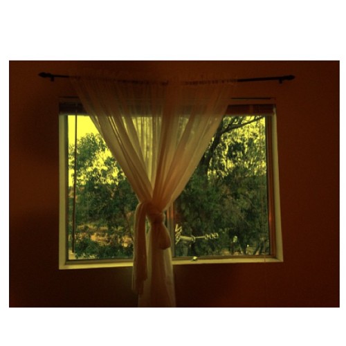 #nature #window #my #bedroom #love #it #mornings #sandiegoI don’t want to wakeup