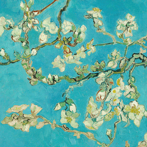 goodreadss:Almond Blossom   by Vincent van Gogh