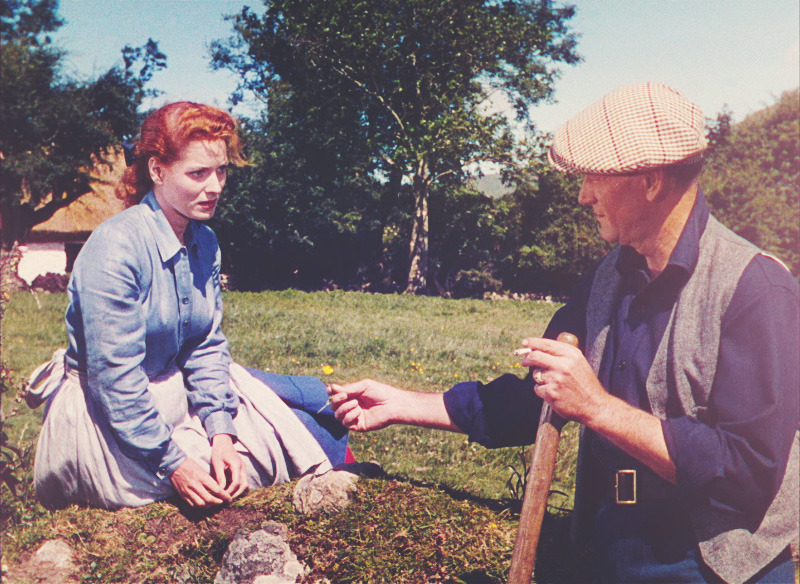 hedda-hopper:  The Quiet Man (1952) , directed by John Ford 