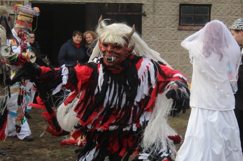 lamus-dworski:Kolędnicy in Poland: custom of ‘chodzenie z kozą’ (walking with goat) in Topólka distr