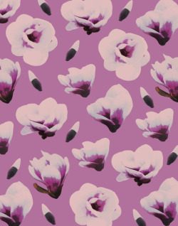 wildsunshine:  society6.com/product/magnolia-e5u_print