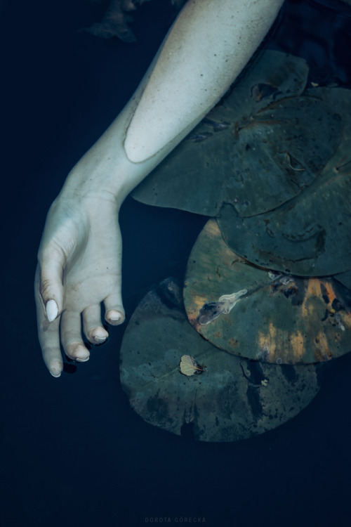 dorota-gorecka:  Model: Magdalena WiśniewskaPhoto: Dorota GóreckaFor more feel free to visit: https://www.facebook.com/dorotagoreckafotografia/https://500px.com/dorotagoreckahttps://www.flickr.com/photos/130392596@N08/  