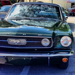 ikonicrides:  Classic Stang #mustang #ikonic_rides #majestic_cars #igersftl (at First Baptist Church of Fort Lauderdale) 