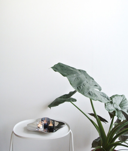 via Bloglovin April and May 
