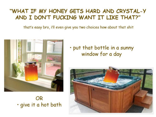 wishes-he-was-king-of-bears:  preservedcucumbers:  There are two things in life that I am truly passionate about: Comics, and honey.  “i am so serious here i will come to your house and beat you with a plastic bear if you microwave your fucking honey”