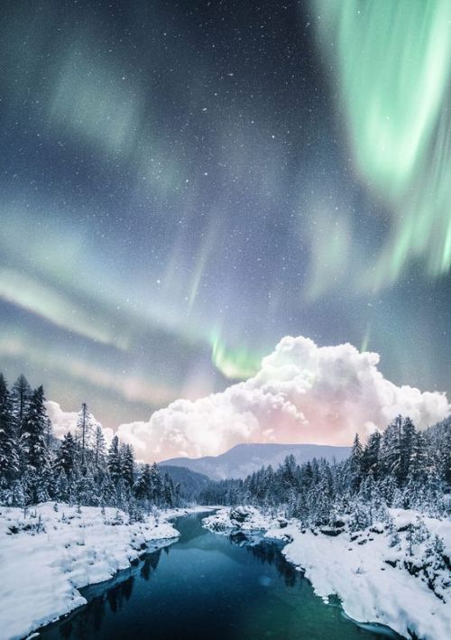 silvaris:  Aurora and the winter by Okan