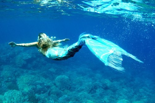 mermaids-and-anchors: Dana Mermaidfacebookyoutube