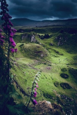 maureen2musings:  Looking down into the magical fairy glen on the Isle of Skyedanscotland_