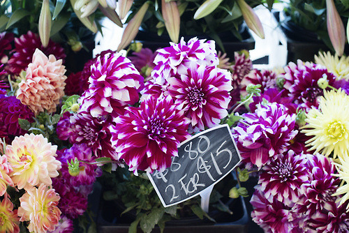 floralls:  (by .natasha.) 