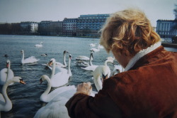 brusendehave:  Took this of Paolo when I visited him in Copenhagen. Lovely day.  