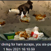 anonymouscomrade:random stuff neuralblender spat out that i liked, since that&rsquo;s