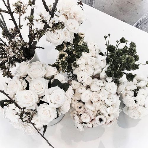 mitten:  ♡ follow @devin.nyc on instagram ♡