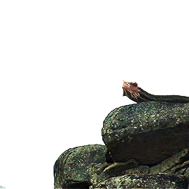 346f60e93d4626061073f1d30b15f0aad6cea2dc.gifv