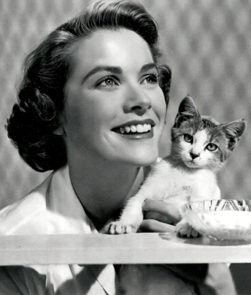 Some of the most glamorous Hollywood stars posing with their beloved cats. See more photos here&hell